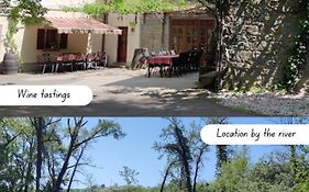 Bordon Wines, Estate With Accommodation