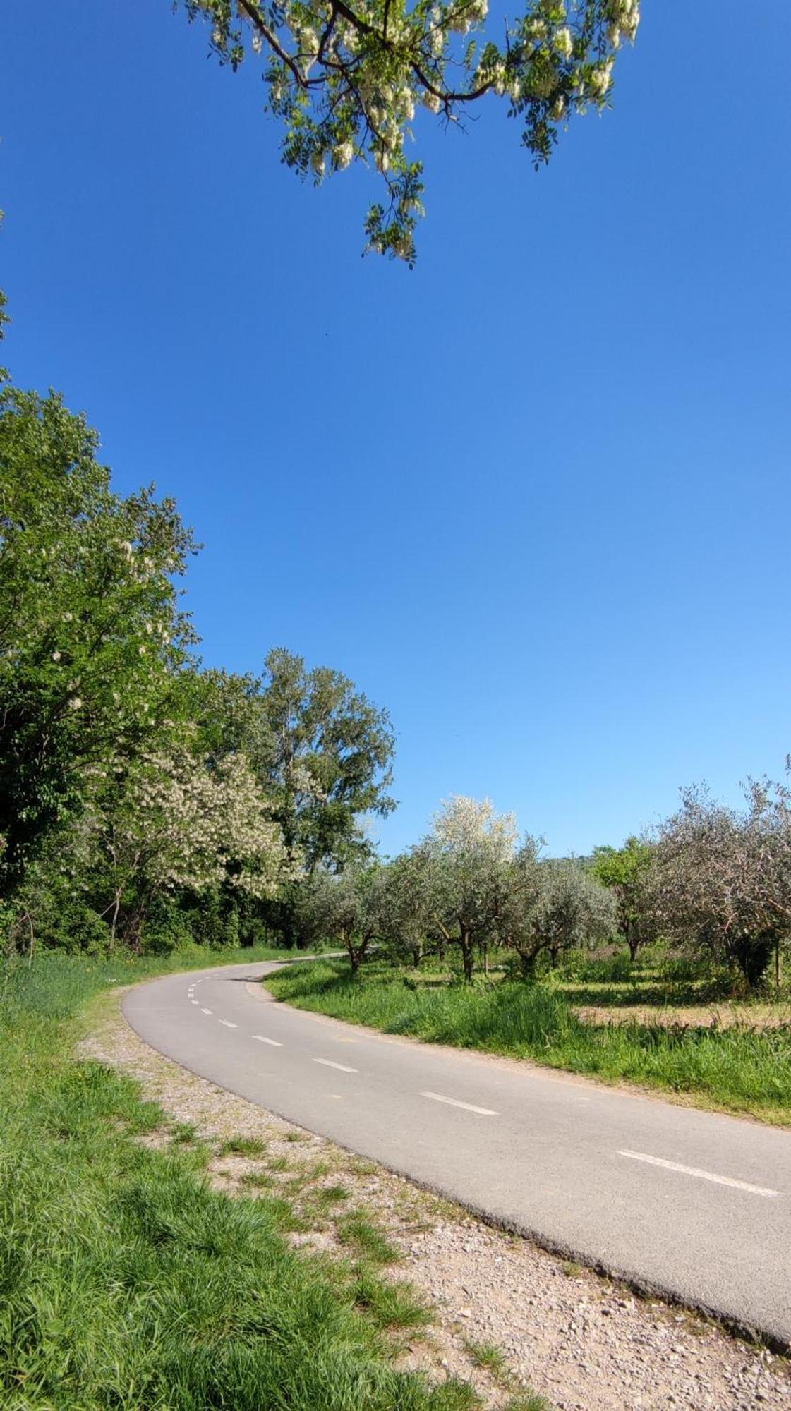 Bordon Wines, Estate With Accommodation Dekani Esterno foto