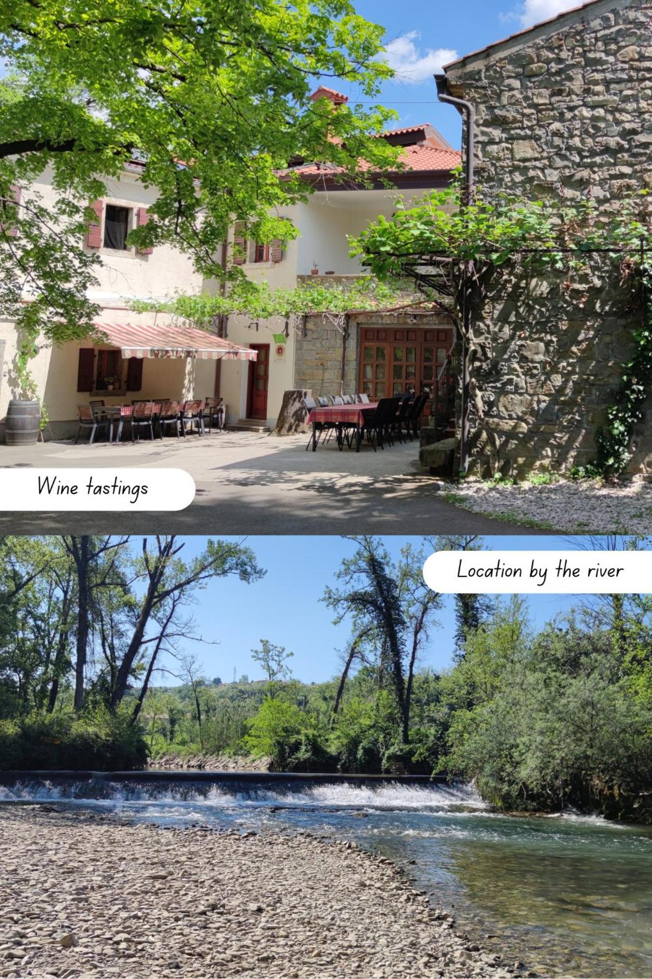 Bordon Wines, Estate With Accommodation Dekani Esterno foto