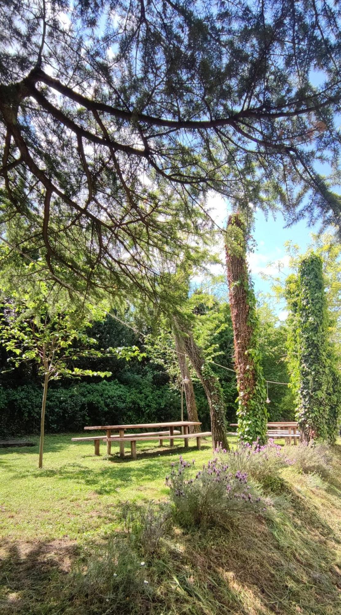 Bordon Wines, Estate With Accommodation Dekani Esterno foto